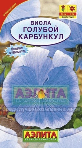 Аэлита виола Виттрока голубой карбункл