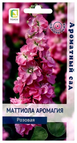 Поиск маттиола Аромагия Розовая