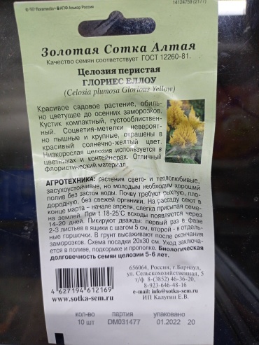Золотая сотка Алтая целозия Перистая Глориес еллоу