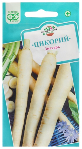 Гавриш цикорий Знахарь лекарственный