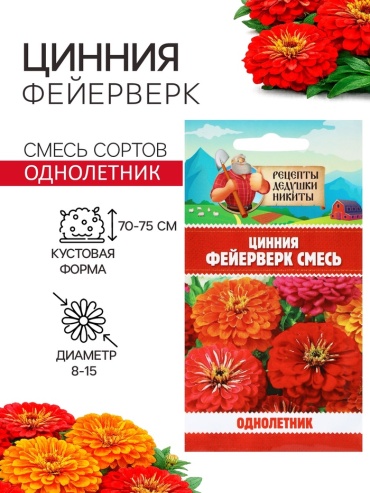 Рецепты дедушки Никиты цинния Фейерверк