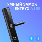 Entryx электронный A18S