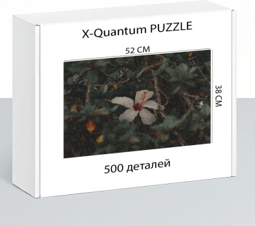 X-Quantum puzzle_lncuyajq9v классический 500 деталей
