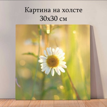 Quantum картина растения и цветы_yq2 30x30 см