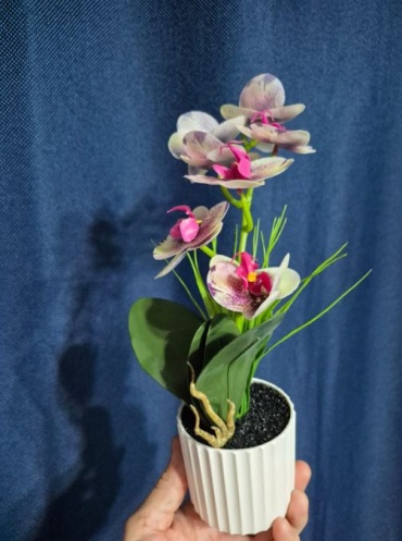Фото 4