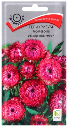 Поиск гелихризум «Королевский размер малиновый»