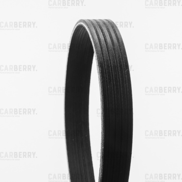 CARBERRY ремень поликлиновый 5PK1210