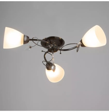 Фото 3