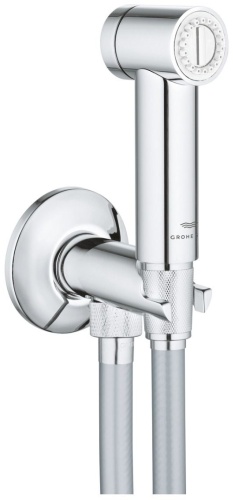 Grohe лейка для гигиенического душа Rainshower Aqua