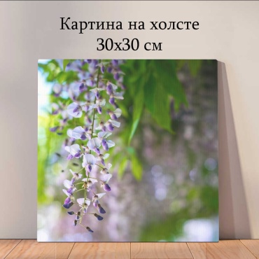 Quantum картина растения и цветы_jed 30x30 см