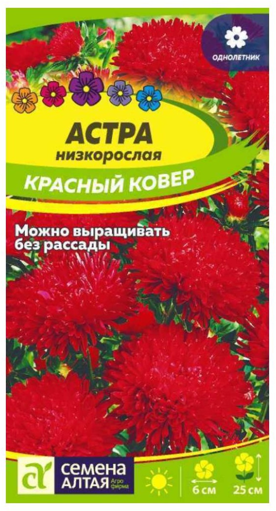 Семена Алтая астра Красный ковер