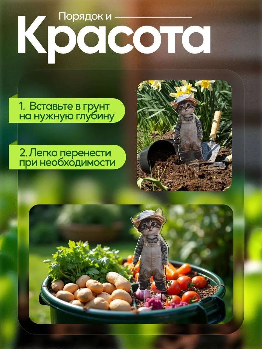 Фото 3