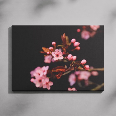 PEMIKAN CRAFT картина Розовые цветы на ветке 70x50 см