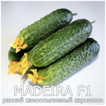 Огурец Мадейра F1