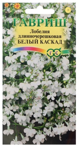 Гавриш лобелия Белый каскад