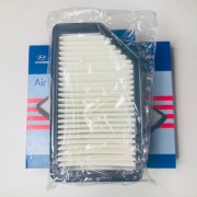 MOBIS воздушный фильтр 28113-1R100