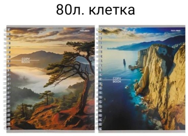 Общая тетрадь Проф-Пресс Горные пейзажи-3 80-8421, 80 л, А5, клетка, мягкая обложка, 1 шт