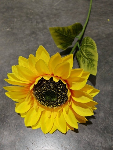 Фото 2