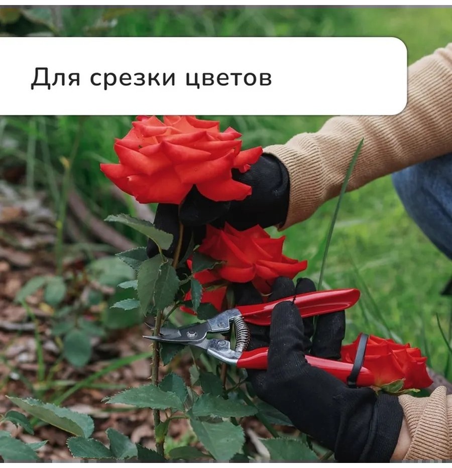 Садовые ножницы универсальное , диаметр среза: 20 мм