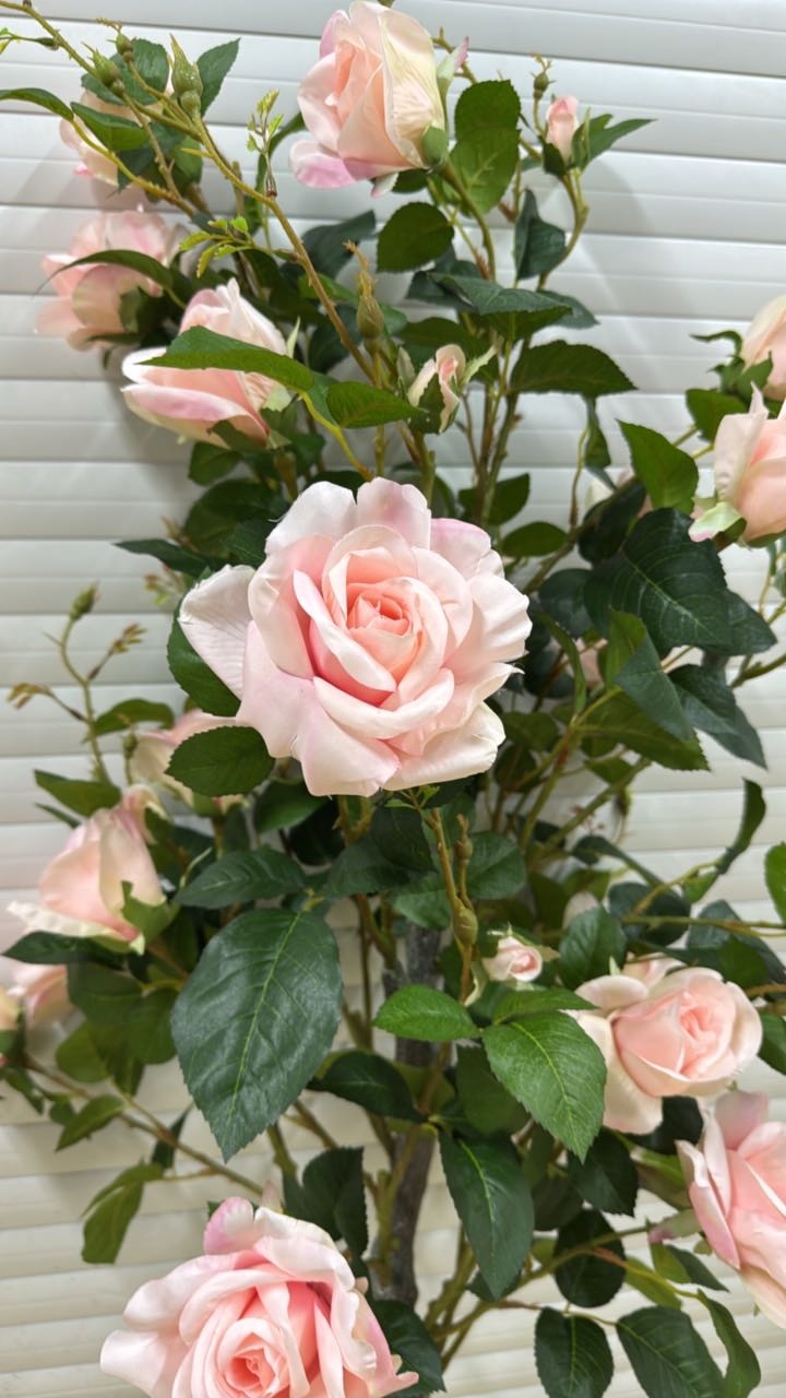 Фото 2