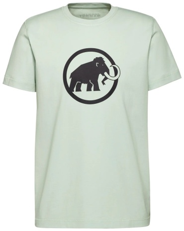 Футболка Mammut мятный