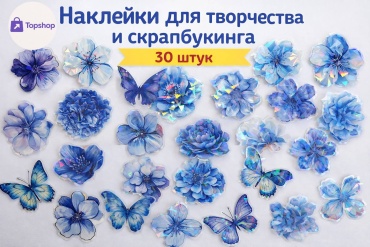 Набор Topshop Цветы голубые 01 30