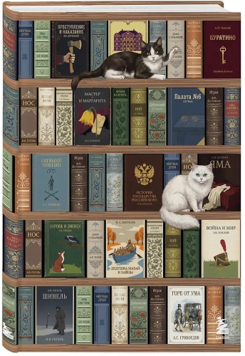 Блокнот Эксмо Книжный шкаф, A5, 64 л, мультиколор