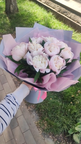 Blossom моно-букет с открыткой пион 9 шт 50 см