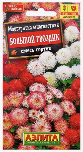 АЭЛИТА маргаритка БОЛЬШОЙ ГВОЗДИК