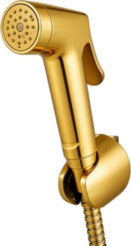 BRAVAT лейка для гигиенического душа D9148RBG-ENG, абс-пластик