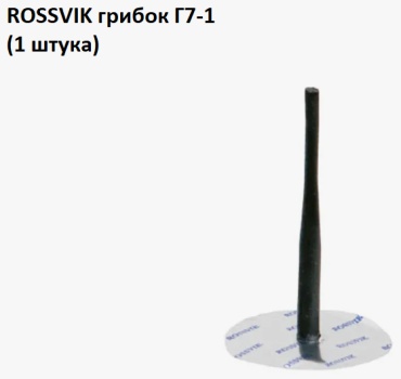 ROSSVIK грибок G.7.1.1