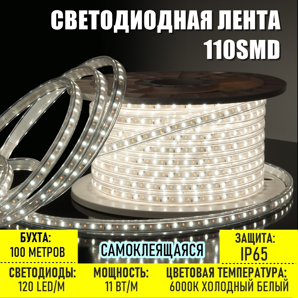 Светодиодная лента Prosvet холодный белый 100 м
