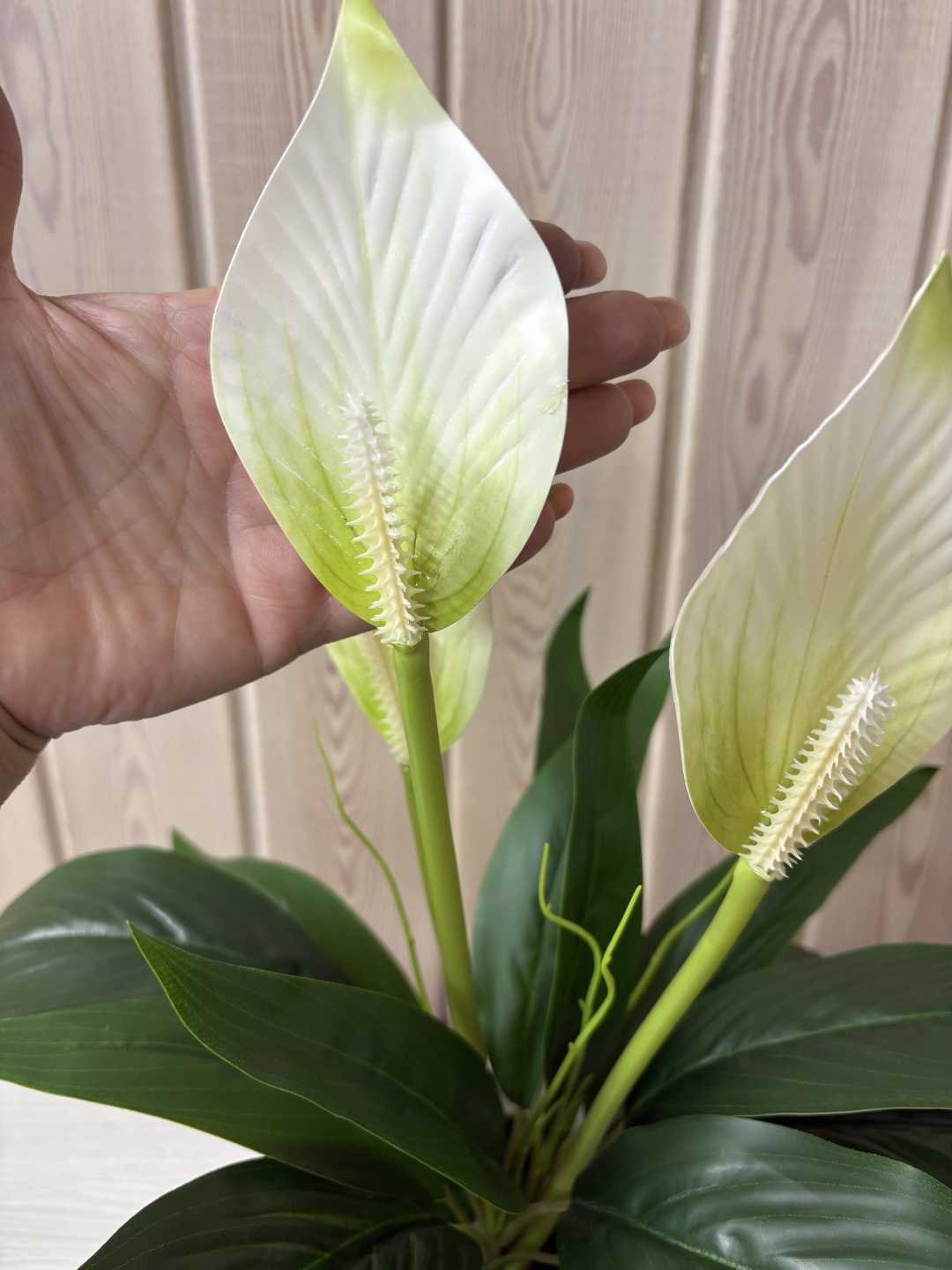 Фото 4