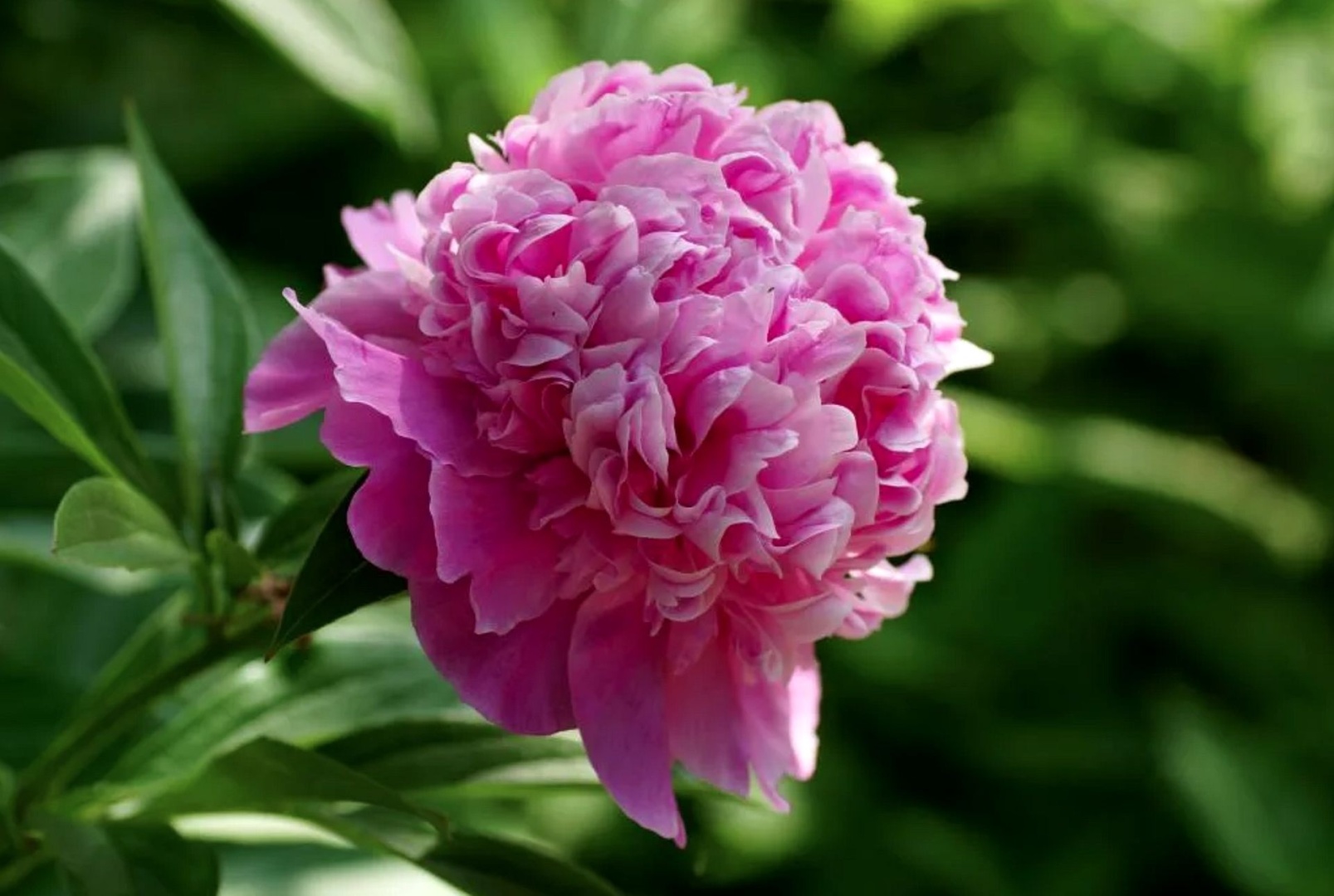 Фото 2