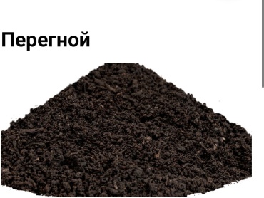 Перегной
