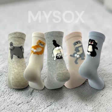 Носки MYSOX 5 пар мультиколор 36-41