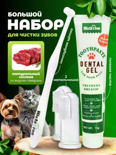 Dental Gel 70 мл