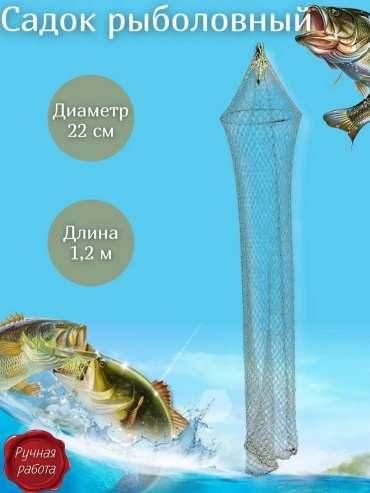 Голова 442979803