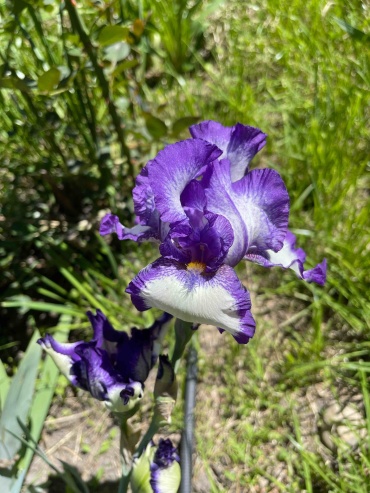 Фото 2