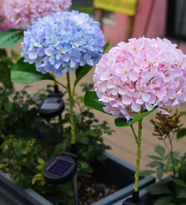 Фото 2