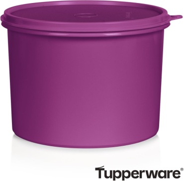 Tupperware контейнер «Аметист», полипропилен, полиэтилен