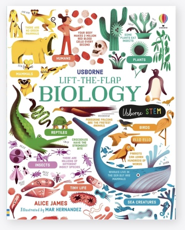 Emily Barden: Filt-the-Flap Biology