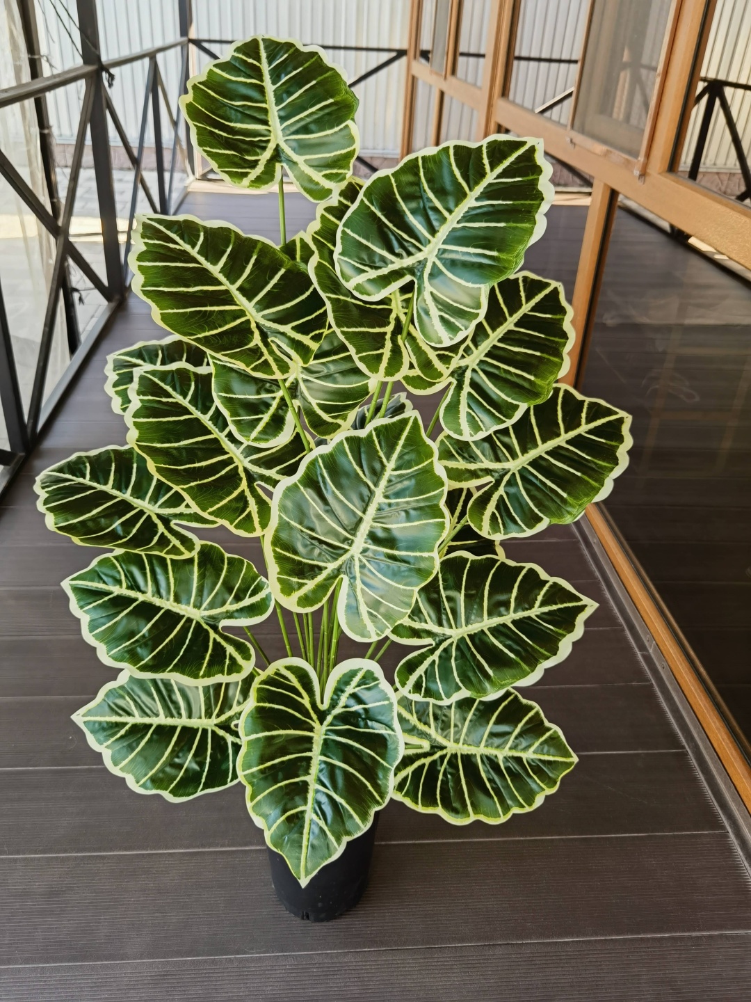 Фото 2