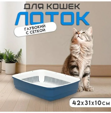 Лоток с бортиком синий