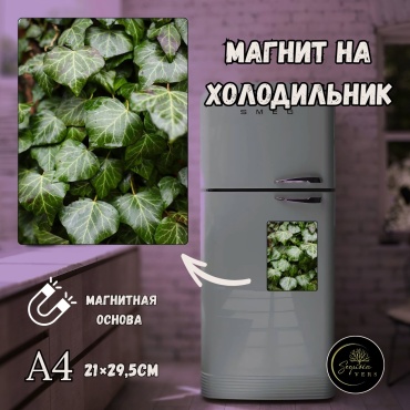 Sequoia VERS магнит-сувенир Дыхание природы. природа, леса. А4 1 шт