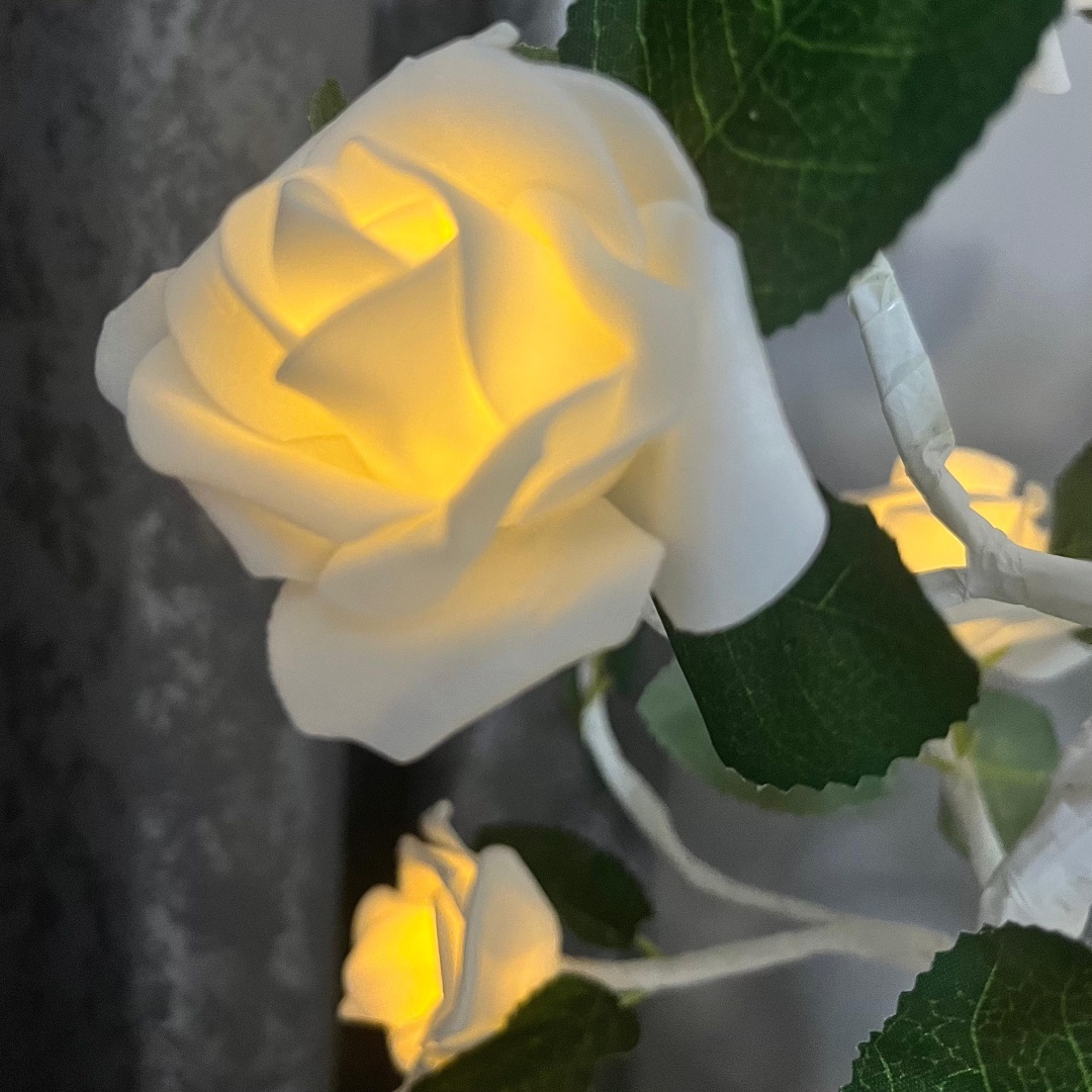 Фото 4