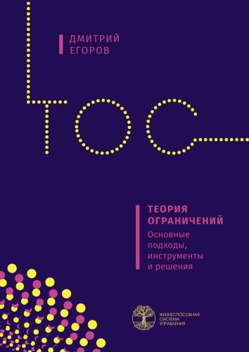Дмитрий Егоров: Дмитрий Егоров, Теория ограничений, Основные подходы, инструменты и решения