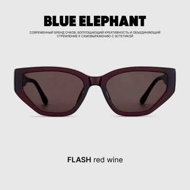 BLUE ELEPHANT солнцезащитные очки треугольные однотонные