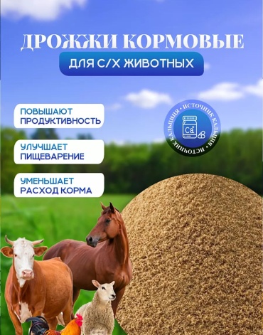 VetMag Кормовые дрожжи добавка в корм 2000 г