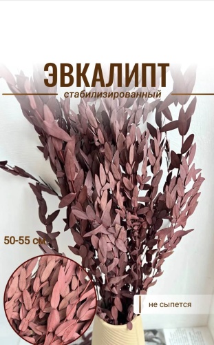 ENLIK штучный цветок из сухоцветов 55 см